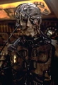 Klingon Borg first Contact DVD special.jpg