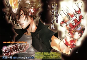 Chapter 390 cover