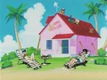 Fixing up the Kame House