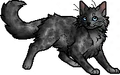 Dapplenose.apprentice