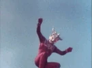 Leo1.gif (361 KB) Leo1