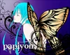 Chouchou Icon