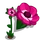 Anemone-icon