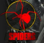 Spiders