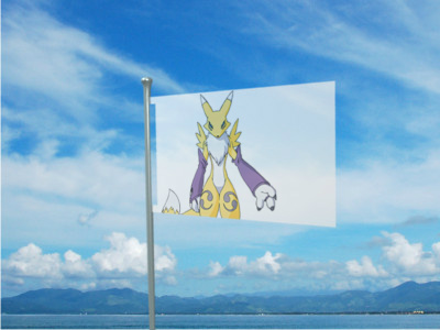 Flag2