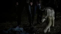 JDwerewolf