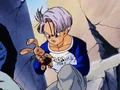 CuddyToyTrunks