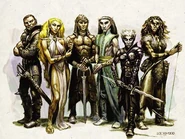 Elves 2