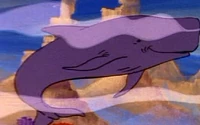 Great Whale