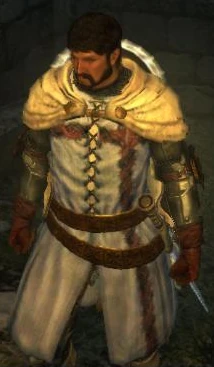 Heros-surcoat