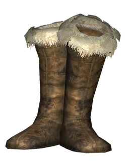 Fur-Lined Boots