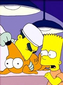 The Simpsons 319 Dog of Death