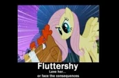 Fluttershy stare reaction image