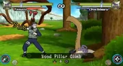Wood Pillar Climb