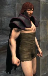 WikiConquerorsMantle