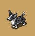 Merle Corgi Lonely Animal
