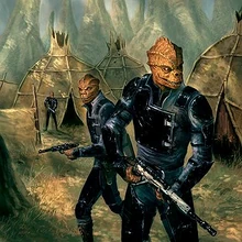 Befriend a Wookiee