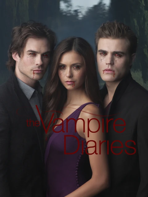 VD 3 Group