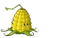 Kernel-pult