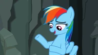 Rainbow Dash "They don't like it" S2E07