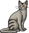 Plumwillow.warrior.alt2