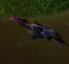 GladeSprinter