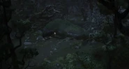 Witch hut