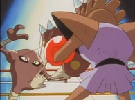 EP029 Hitmonlee usando megapatada
