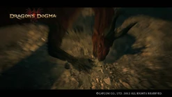 Dragon1