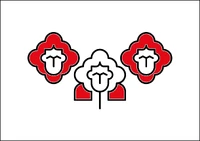 Gimyckothecauliflowerboys