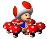 SM64DS Toad