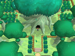 Área de Capturas - Dark-sama White_Forest_B2W2