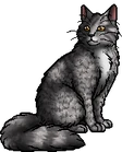Willowbreeze.warrior
