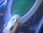 Halluzination8