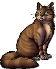 Crookedstar.warrior