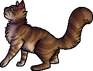 Crookedstar.deputy