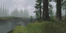 EndorPainting-SWG
