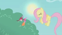 Fluttershy disgusted S01E07