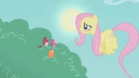 Fluttershy embarrassed S01E07