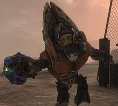 Grunt