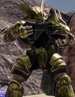 Brute