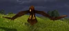 GrainhunterHawk