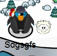 In-game with white puffle.png (8 KB) In-game with white puffle