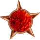 Red Bloon Editor