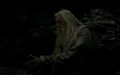 Dumbledore gaining entry.jpg