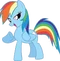 DASH SIG