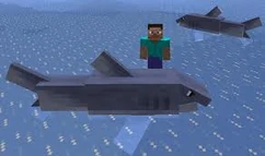 Shark