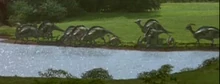 Parasaurjp