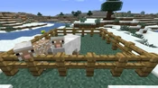Minecraft-11-sheep