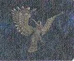 Roc (Qoga)